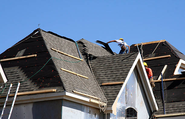 Best Storm Damage Roof Repair  in Courtland, VA