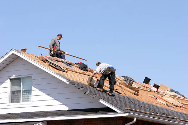 Best Rubber Roofing (EPDM, TPO)  in Courtland, VA